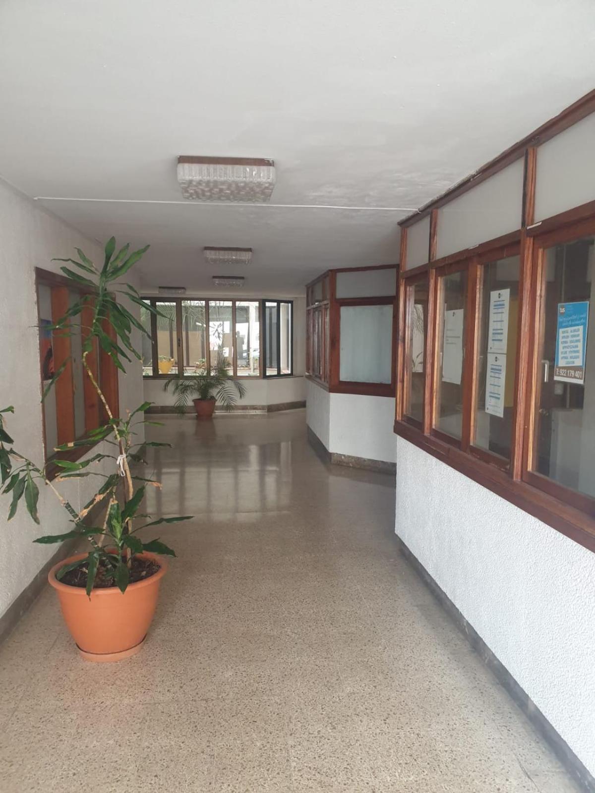 Gold Oasis Apartment Эль-Медано Экстерьер фото